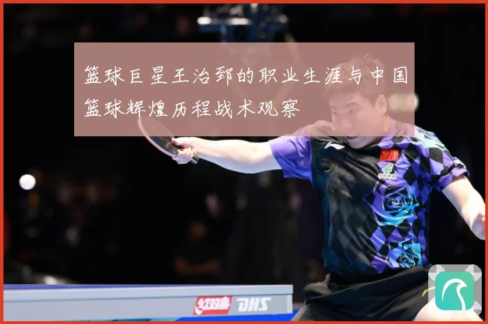 篮球巨星王治郅的职业生涯与中国篮球辉煌历程战术观察
