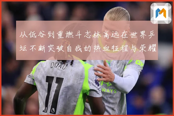 从低谷到重燃斗志林高远在世界乒坛不断突破自我的热血征程与荣耀梦想