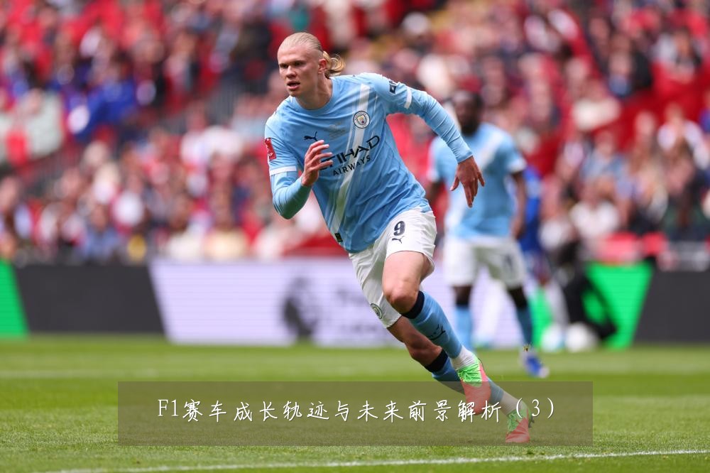 F1赛车成长轨迹与未来前景解析（3）